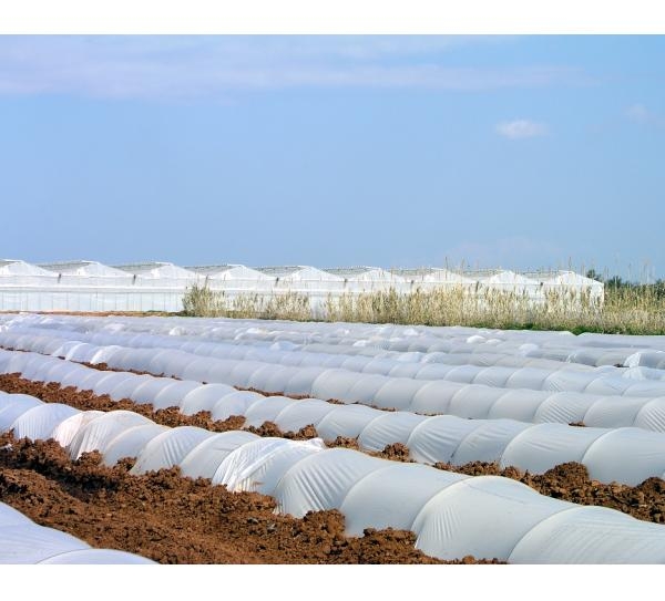 Bravo Polymer